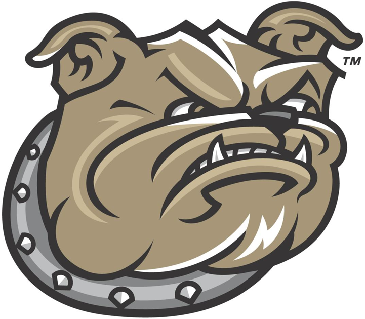Bryant Bulldogs 2005-Pres Secondary Logo diy iron on heat transfer
